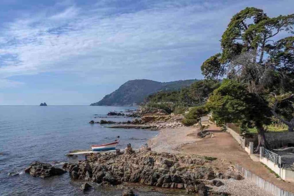 Le Criotto Daire La Seyne-sur-Mer Dış mekan fotoğraf
