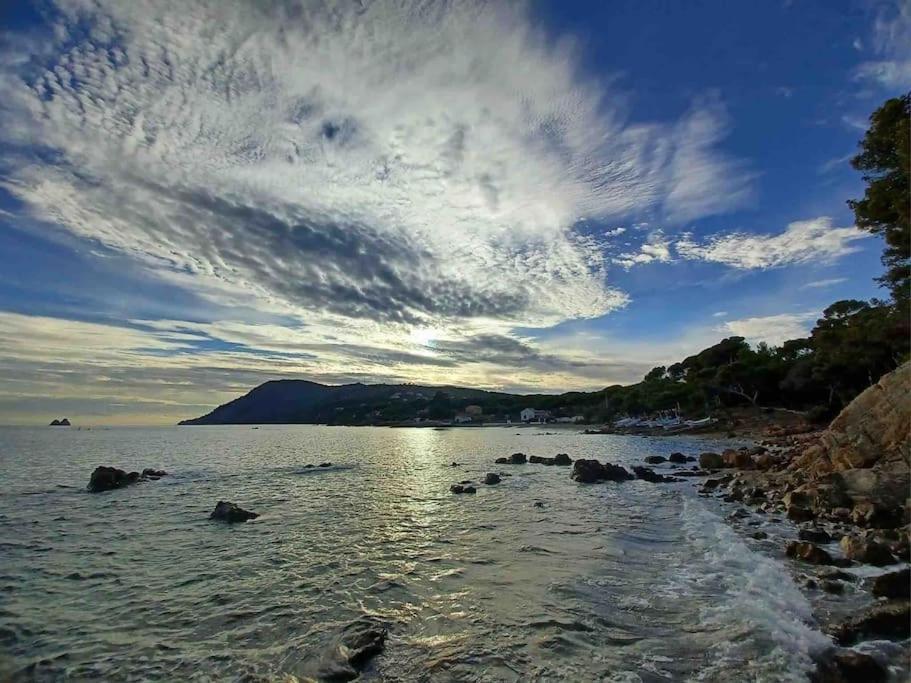 Le Criotto Daire La Seyne-sur-Mer Dış mekan fotoğraf